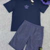 STONE VIOLET