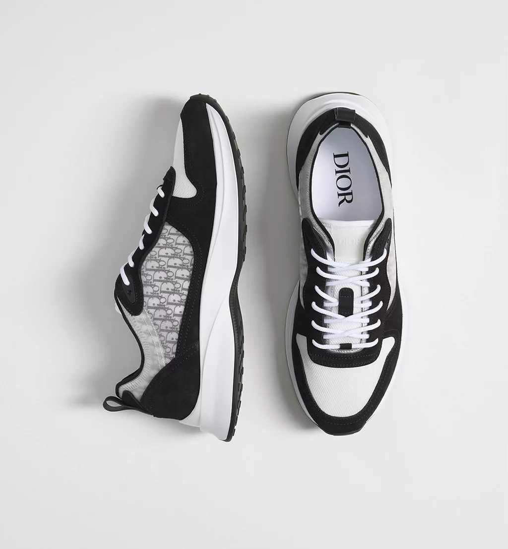 DIOR B25