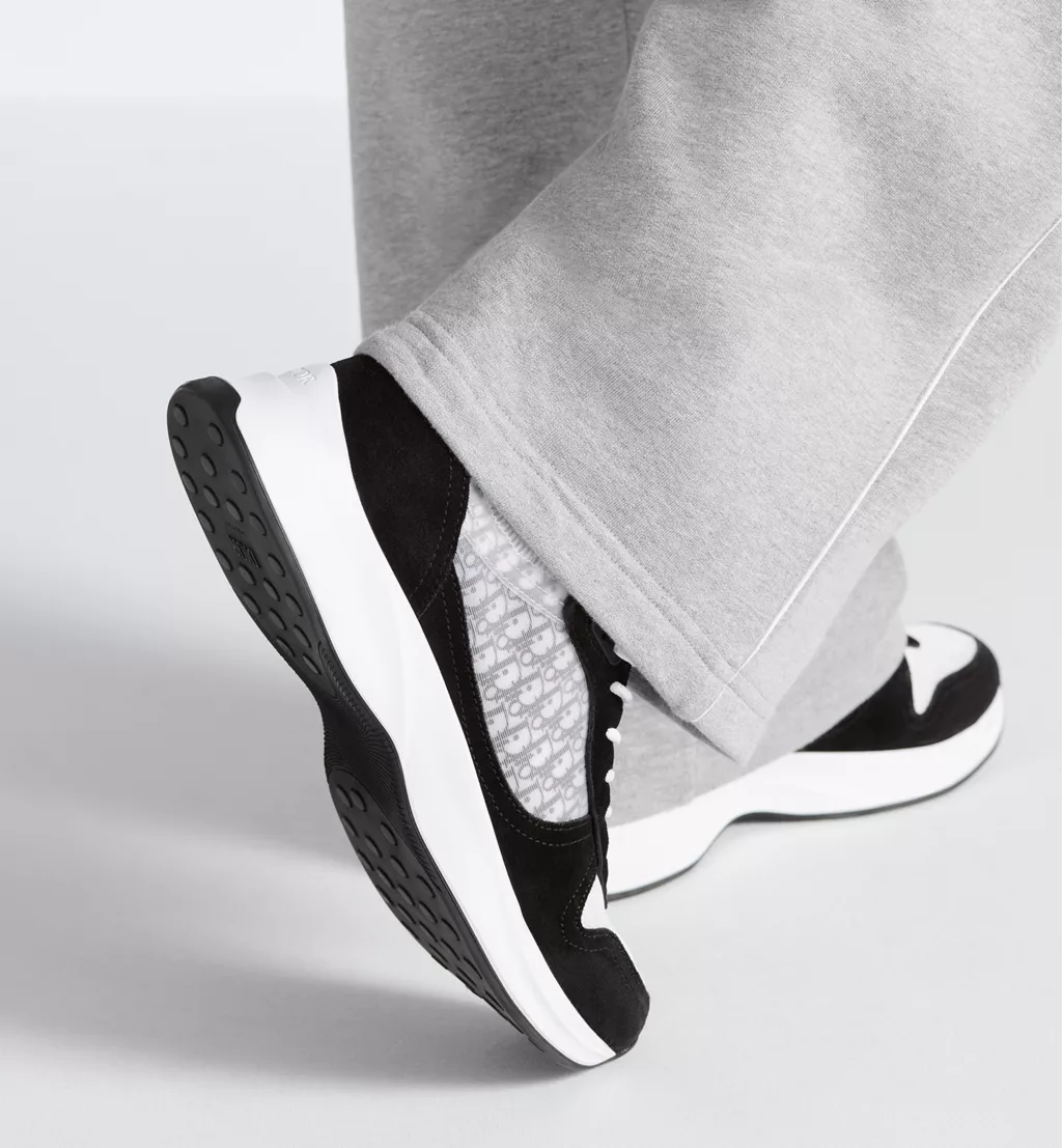 DIOR B25